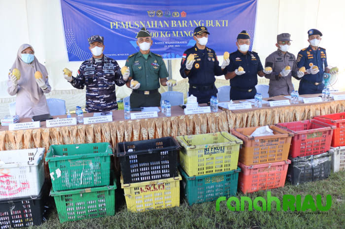 Bea Cukai Bengkalis Gagalkan Penyeludupan 28 Ton Buah Mangga Ilegal Asal Thailand